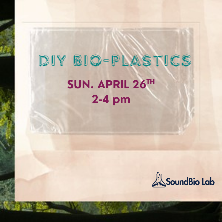 Bio-plastic workshop at SoundBio Lab — SoundBio Lab